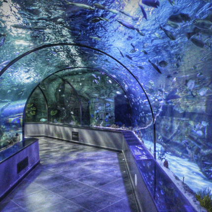 Screenshot 2025-11-02 at 12.10.19 تجربهی یک روزه آکواریوم منطقه آزاد انزلی