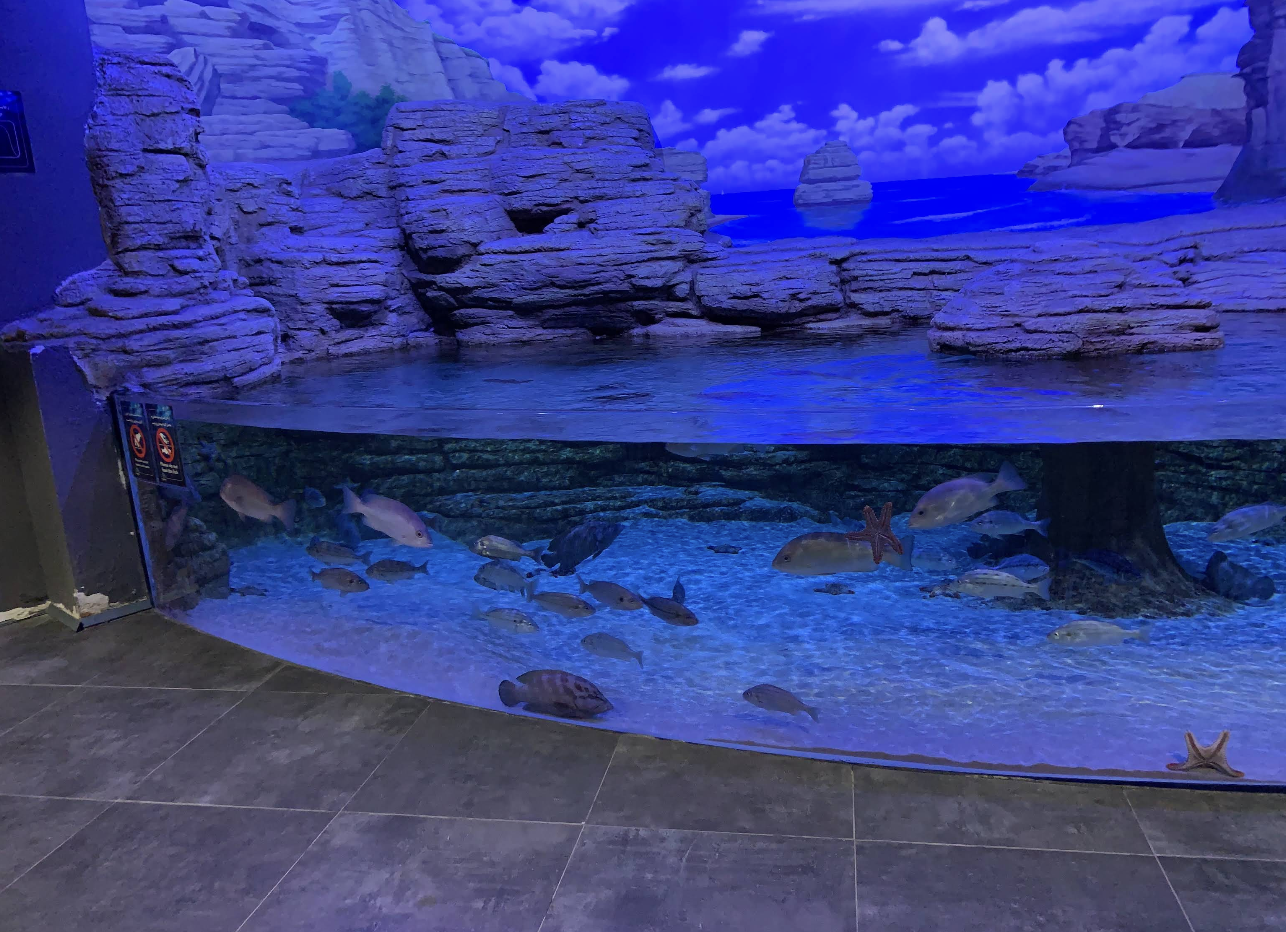 Screenshot 2025-11-02 at 12.10.32