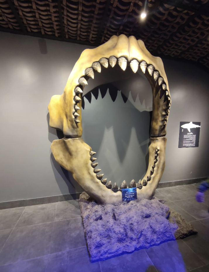 Screenshot 2025-11-02 at 12.10.45