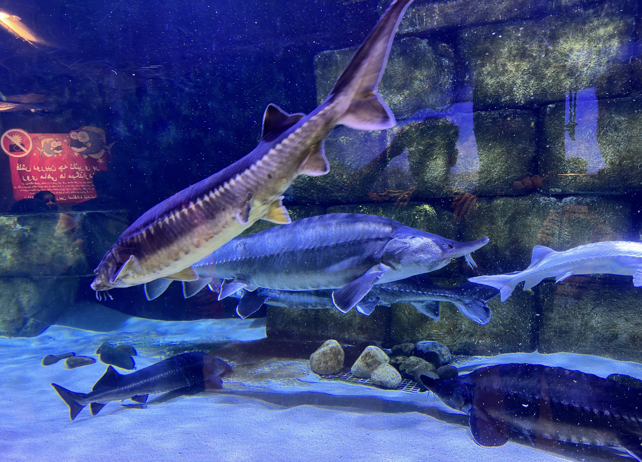 Screenshot 2025-11-02 at 12.10.56