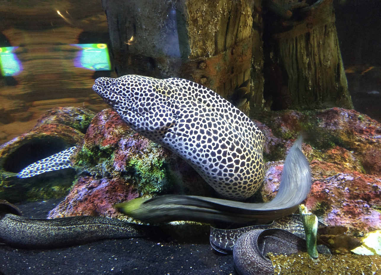 Screenshot 2025-11-02 at 12.11.08