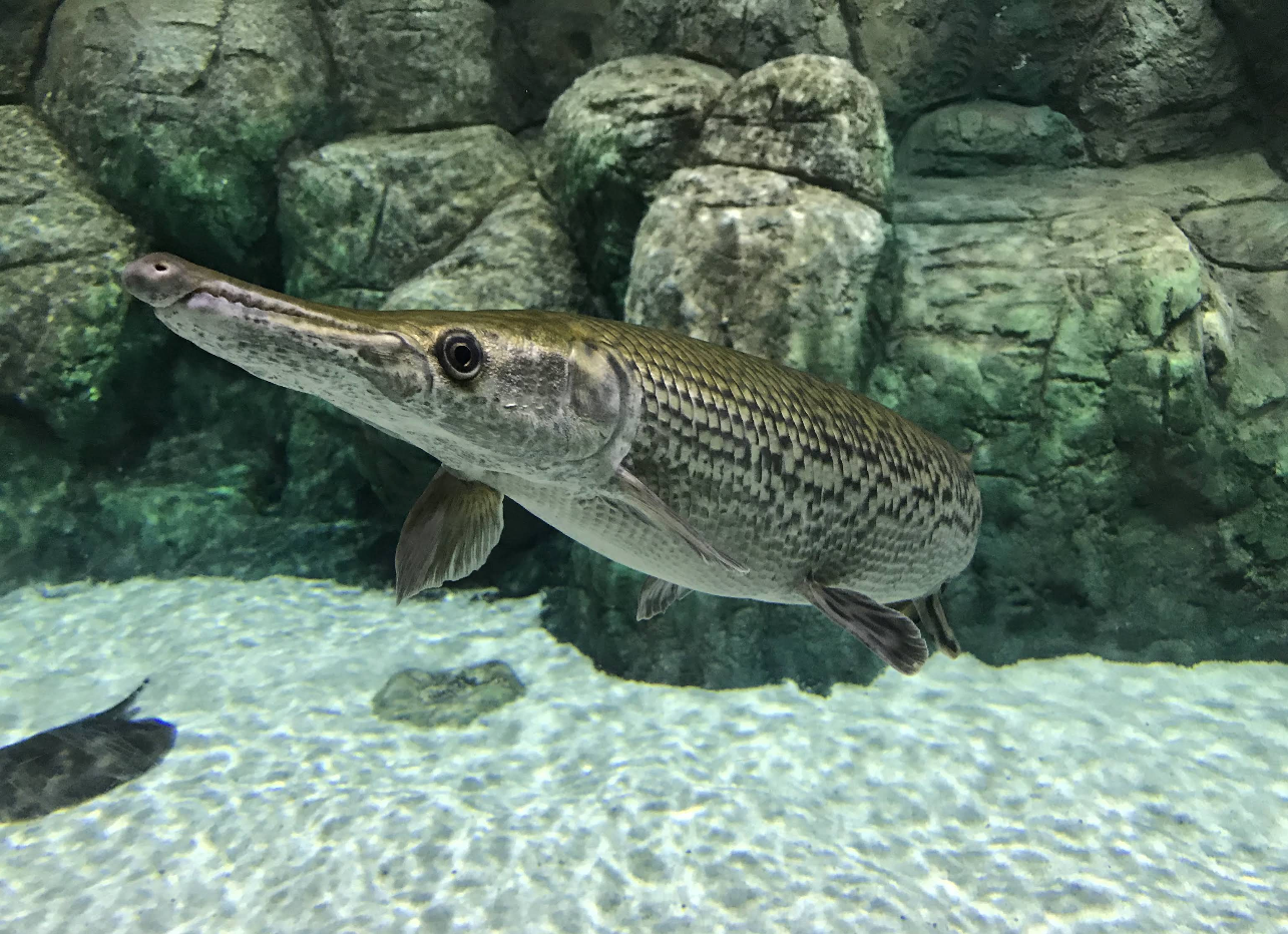 Screenshot 2025-11-02 at 12.11.34