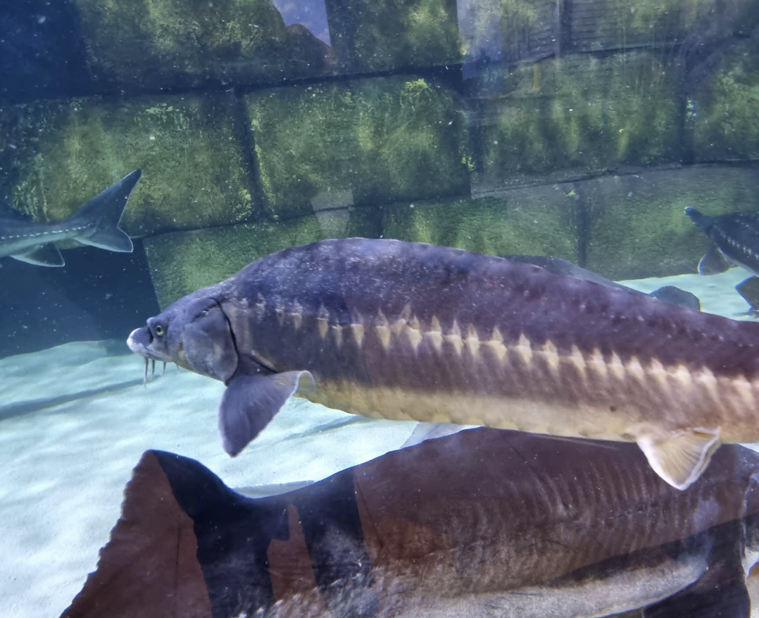 Screenshot 2025-11-02 at 12.11.47