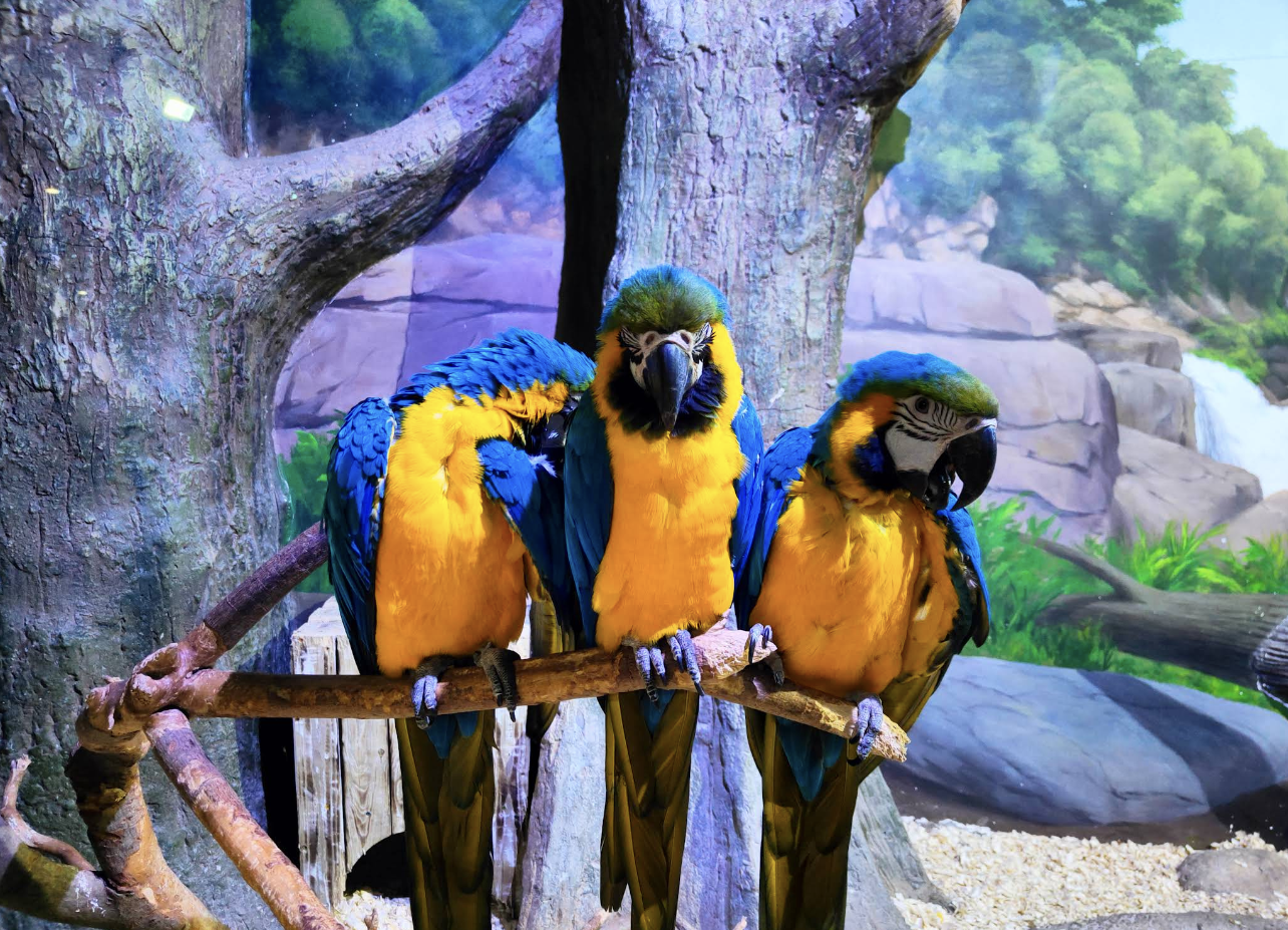 Screenshot 2025-11-02 at 12.12.07