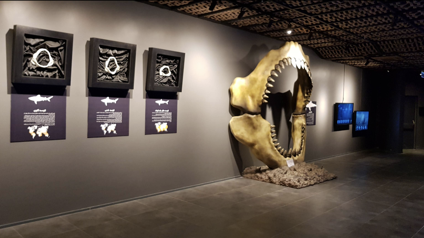 Screenshot 2025-11-02 at 12.12.26