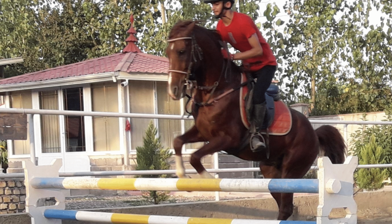 Screenshot 2025-11-05 at 12.24.01 PM